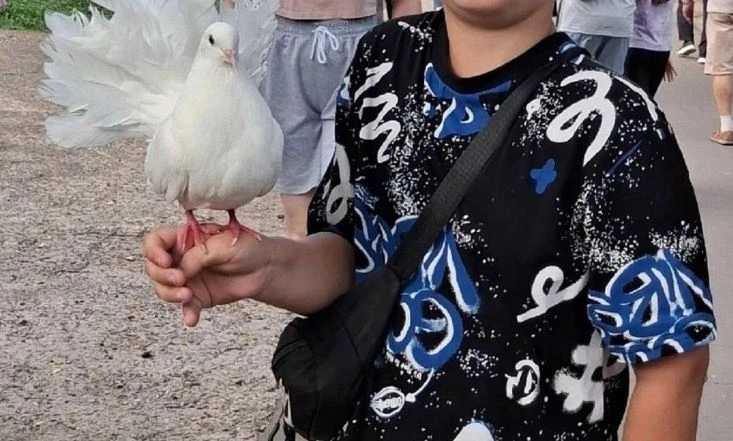 «Платите за каждого голубя»: в Кирове фотограф у цирка обманул семью на 2000 рублей