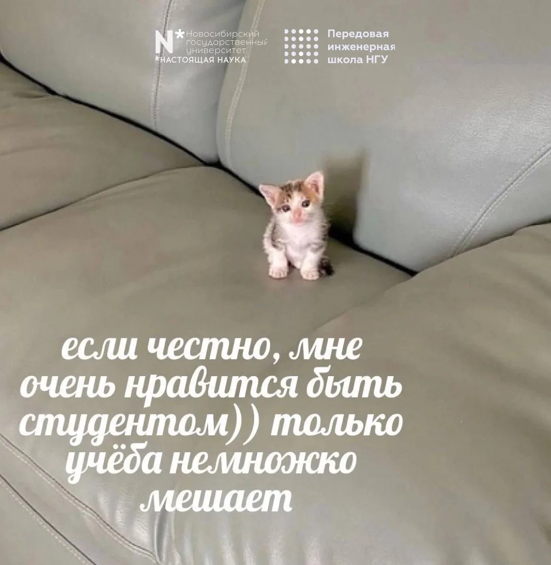 В ПИШ НГУ учёба, которая точно не будет скучной 🚀