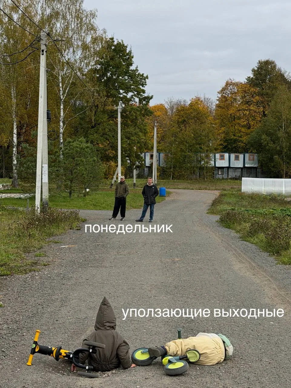 На выходных создалась фотка-мем.