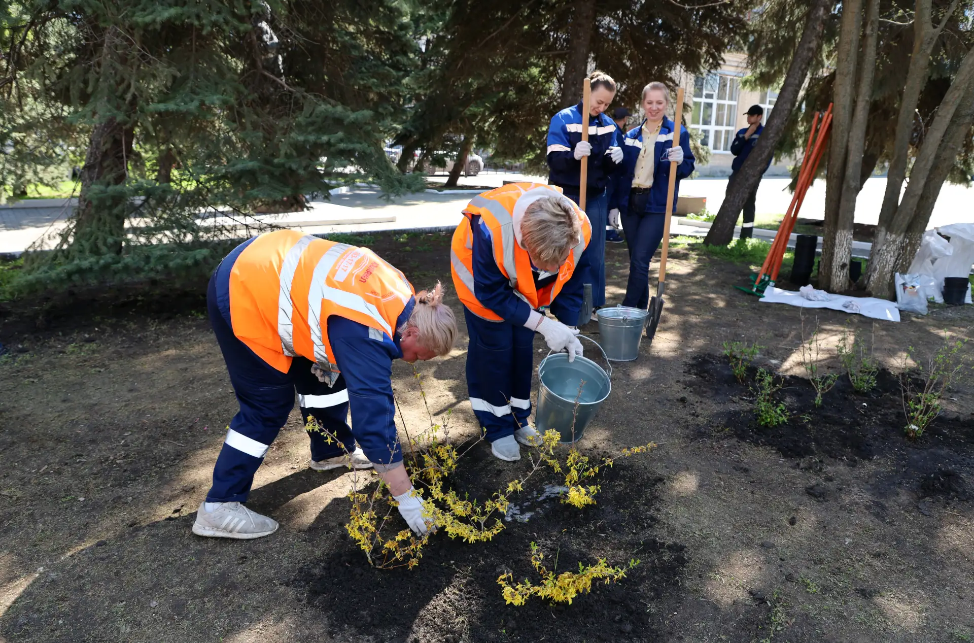 Золотая аллея славы: как Ростовводоканал встретил День древонасаждения 🌼🌱  Верный многолетней доброй