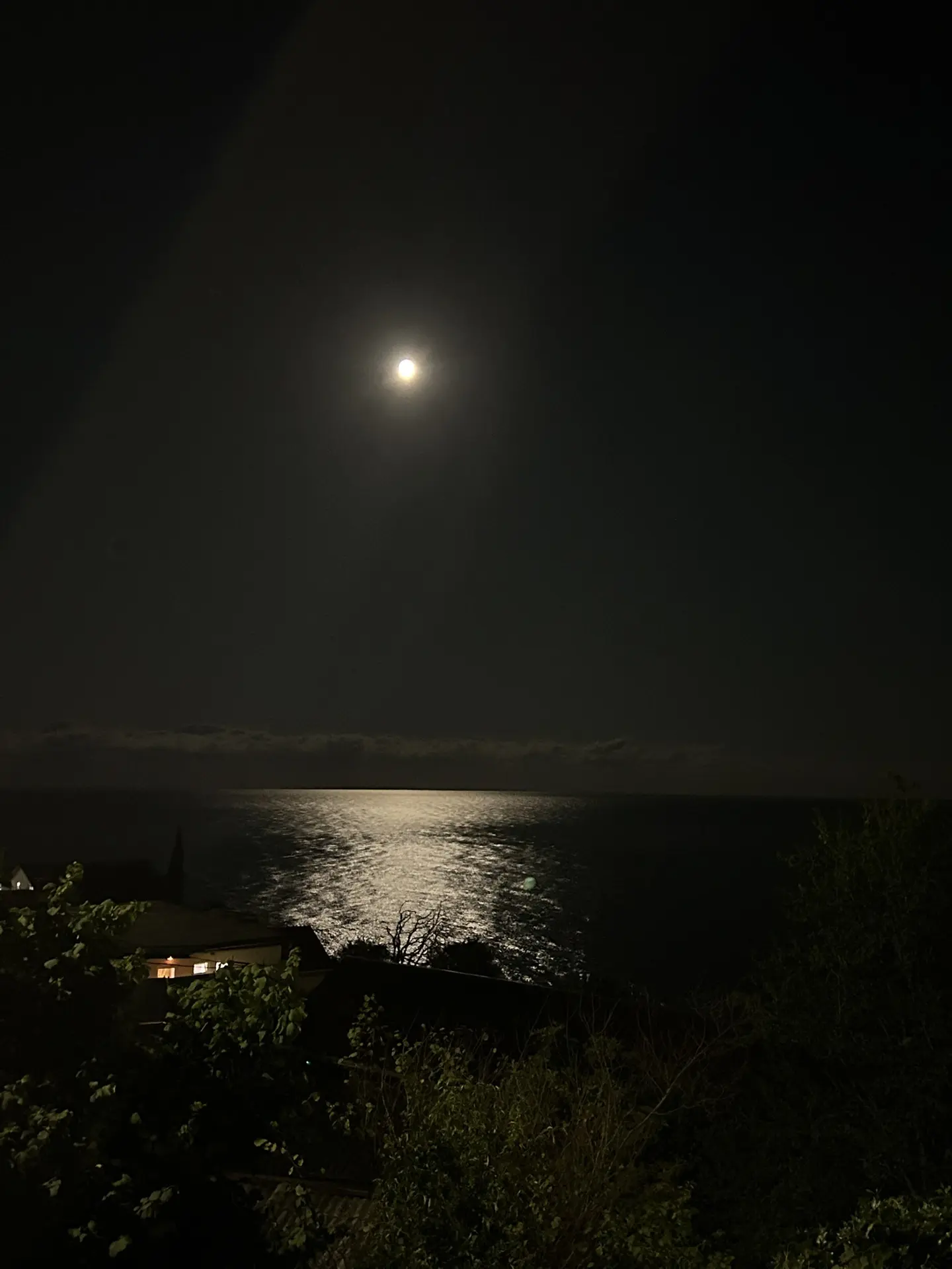 На ночь вам красивую фотокарточку 😍