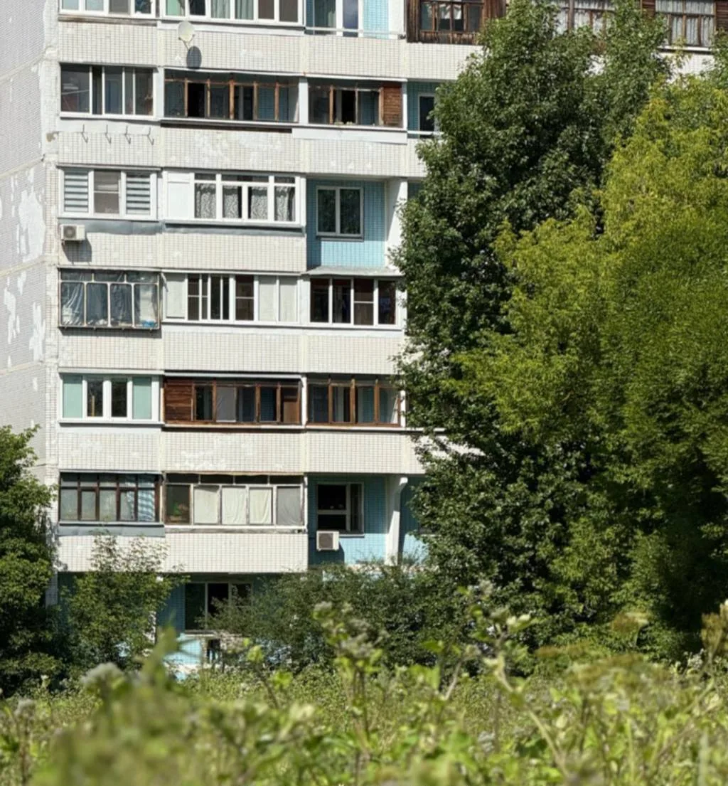 Совсем скоро зеленые виды окрасятся в золото.