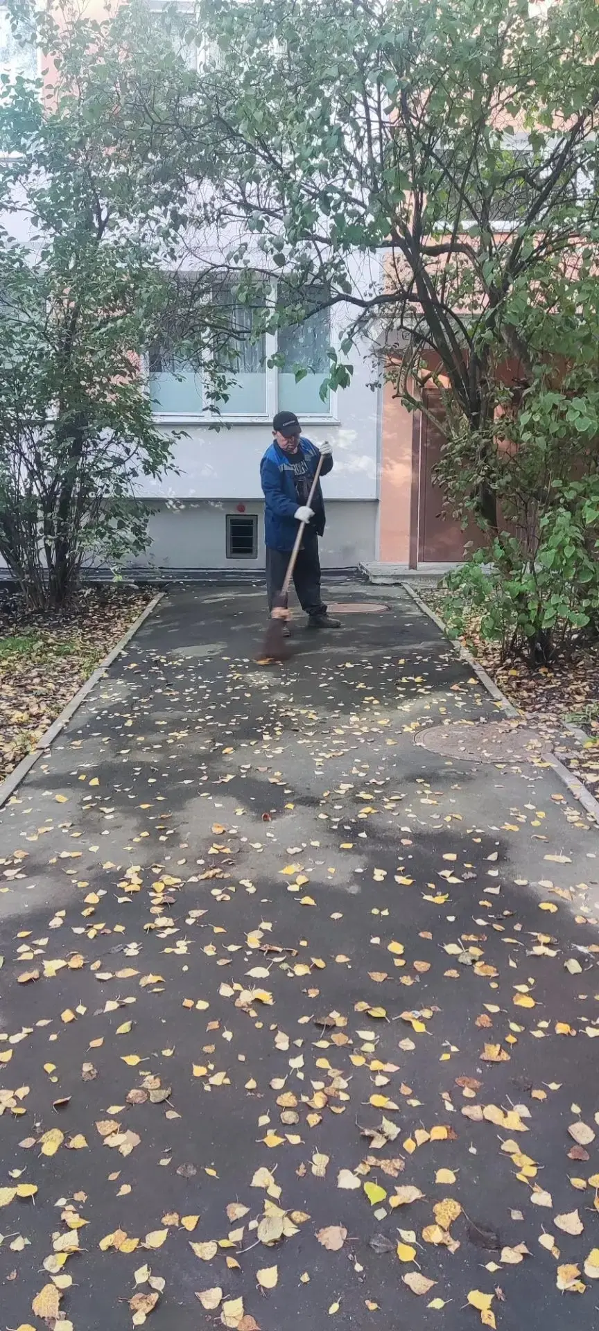 🍂 А листьев всё больше…