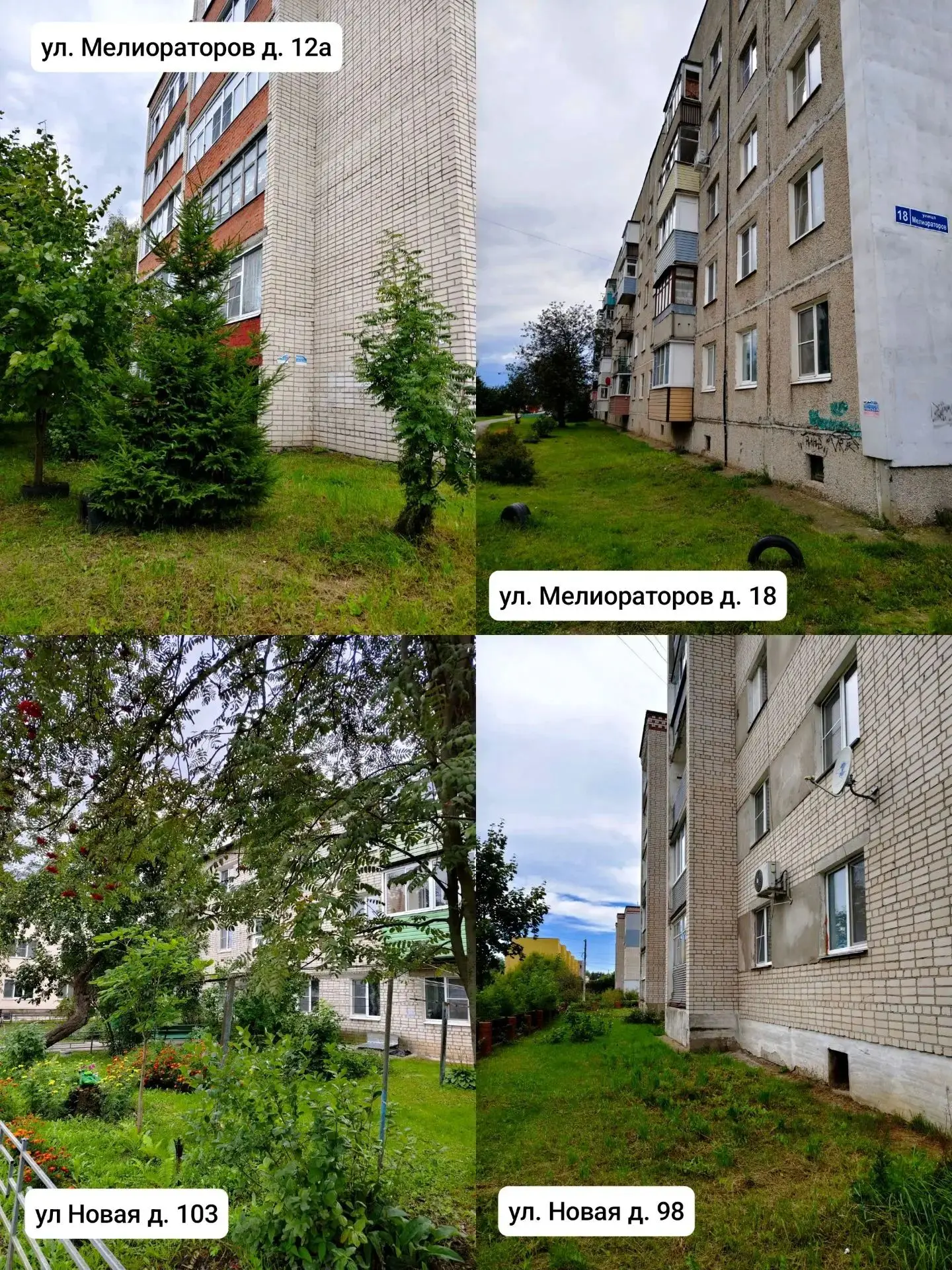 Фото