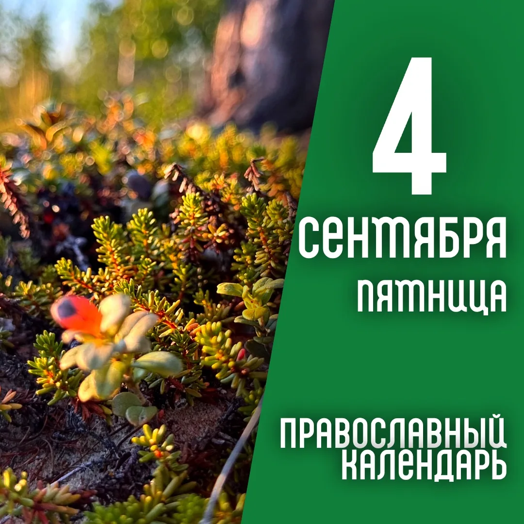Календарь дня