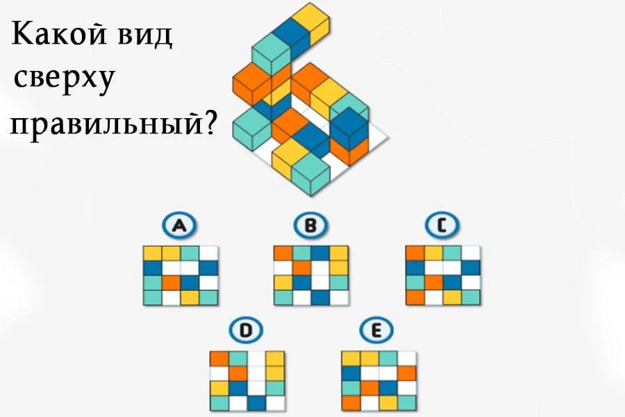 Изображение 1 к публикации «НейроИгры. Нейропсихология и Логопедия»