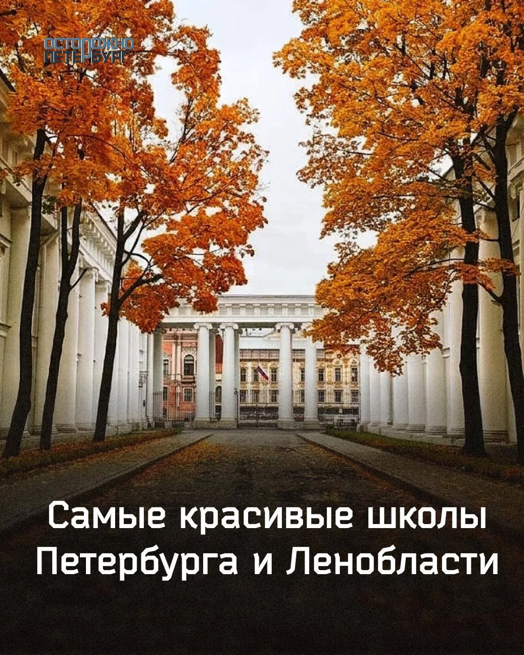 Топ-5 эстетичных школ Петербурга и Ленобласти.