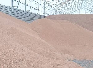 ✅Россельхознадзор фиксирует рост экспорта зерна из Приморского края.
