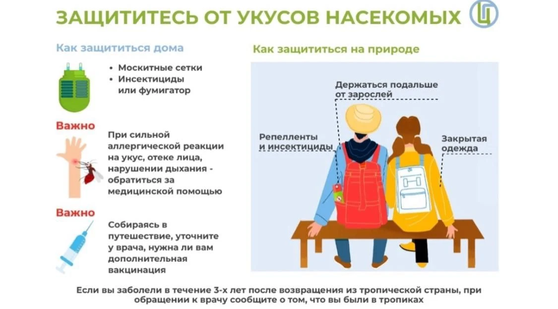🦟 Как защитить себя от укусов насекомых: чек-лист профилактики
Лето — отличное время для прогулок, 