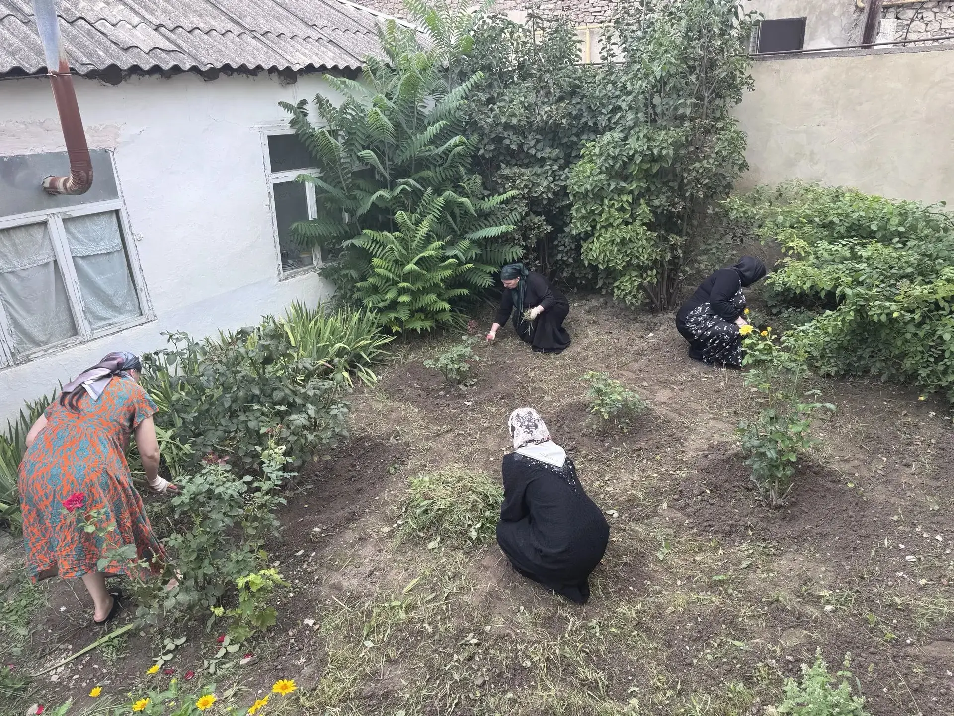 Субботник в центре!
