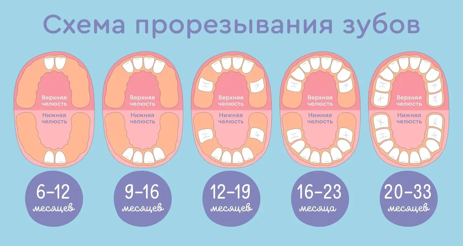 📍📌сохраняйте сроки прорезывания молочных зубов