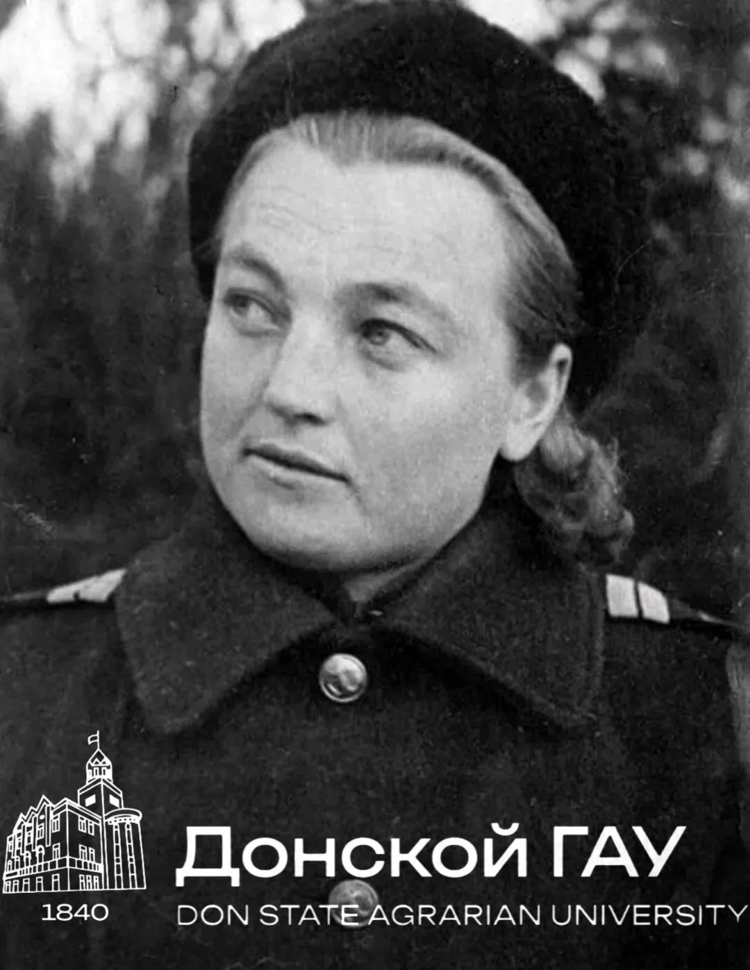 ИСТОРИЯ ДОНСКОГО ГАУ: