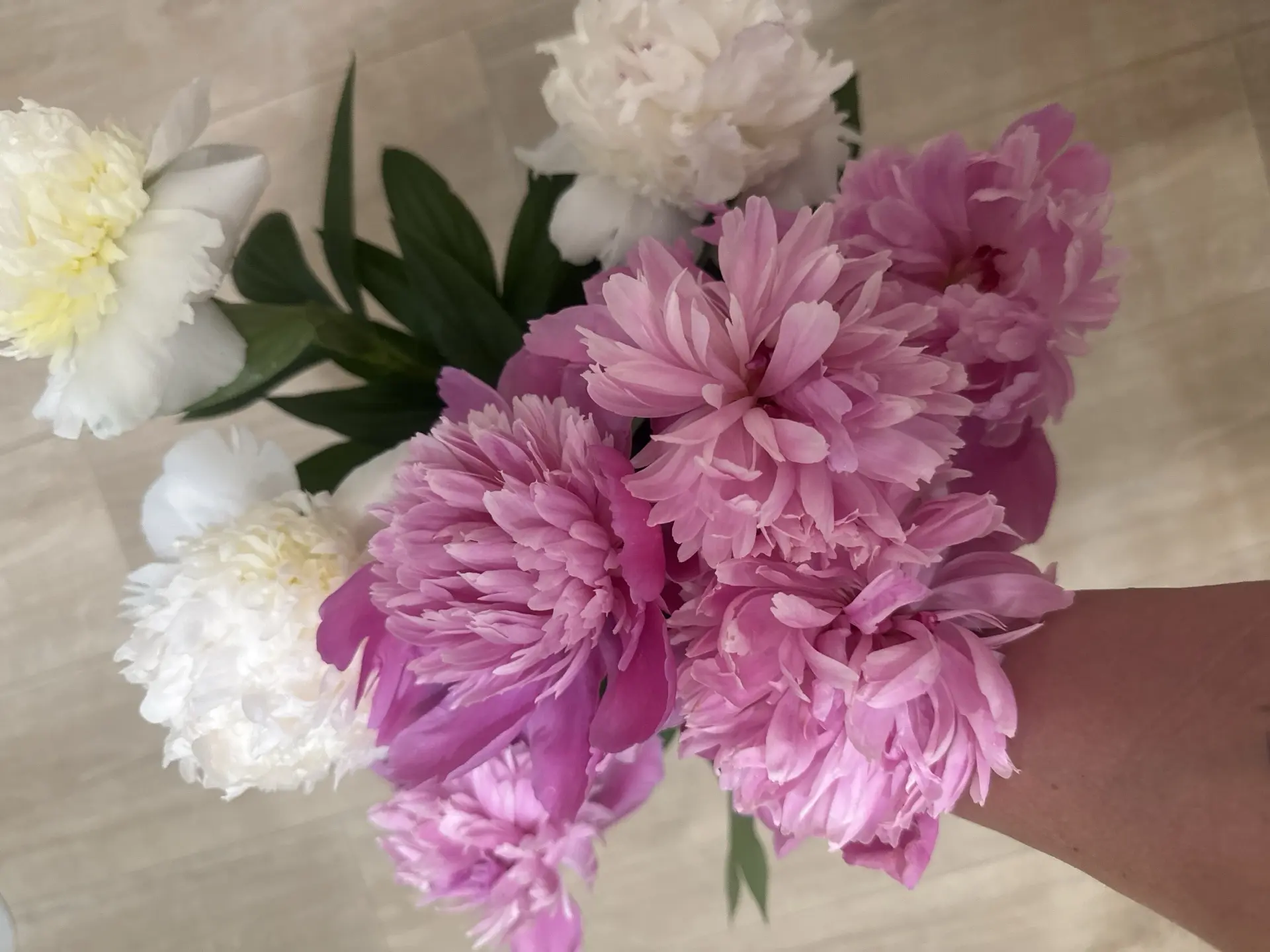 🤍💕🩷невероятный аромат 
СПАСИБО ЛЮБИМАЯ 🩷