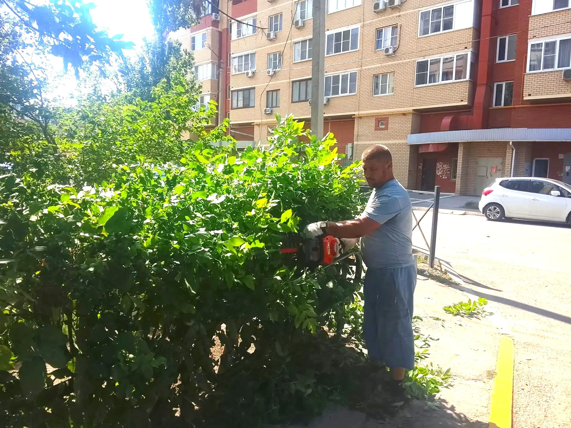 К новости «🌿 Зелёная стрижка для идеального порядка! ✂️»