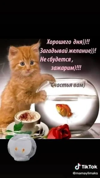 Список качественных каналов в МАХ | Подпишись!❤️