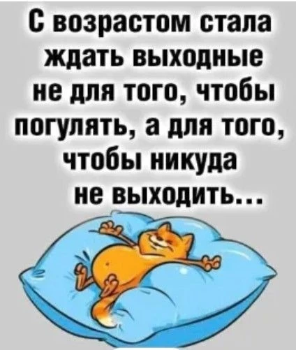 - 🌺 Понравилась открытка — нажмите реакцию и сделайте чей‑то день светлее ❤