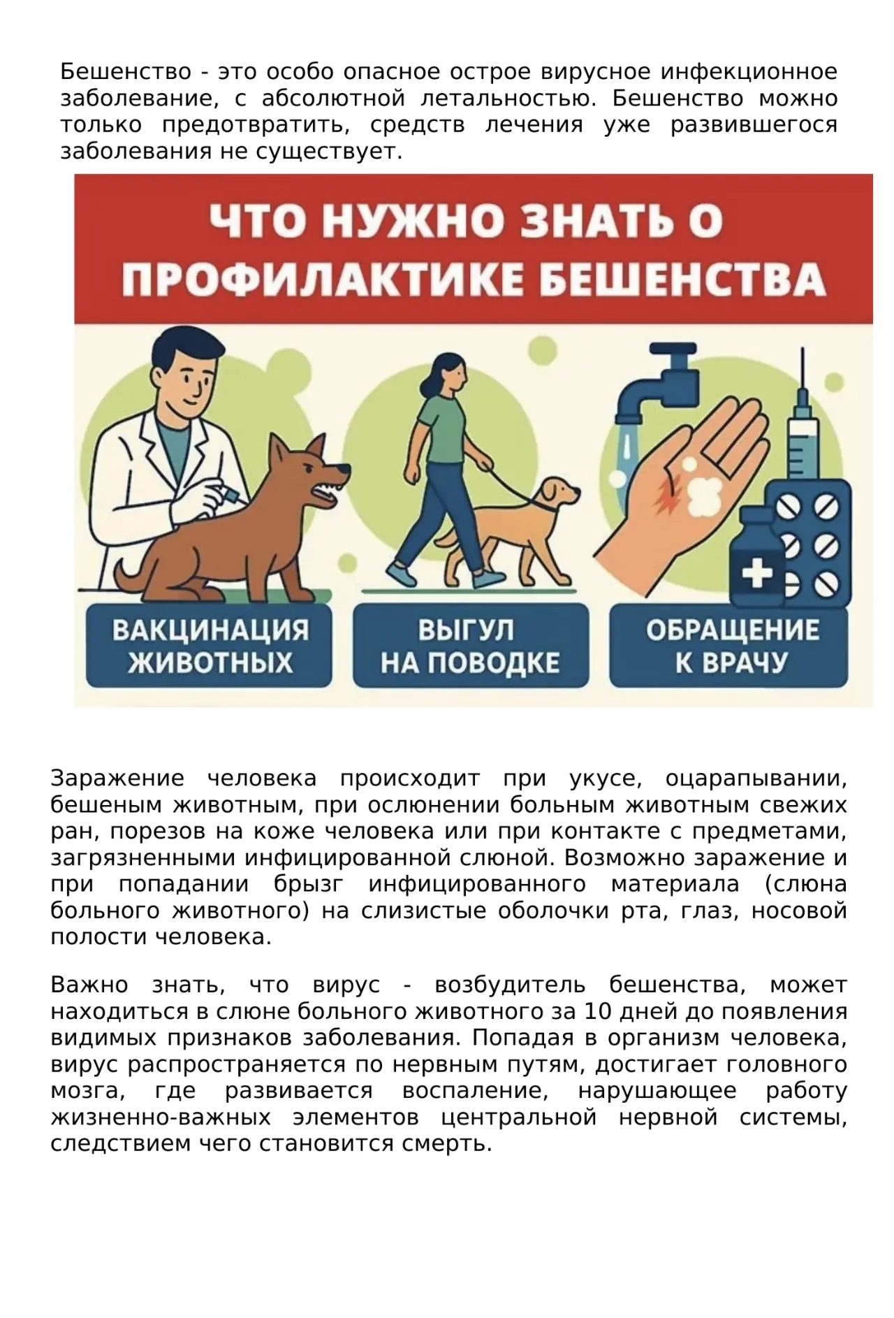 ❗ Что нужно знать о профилактике бешенства - читайте в карточках ☝🤗