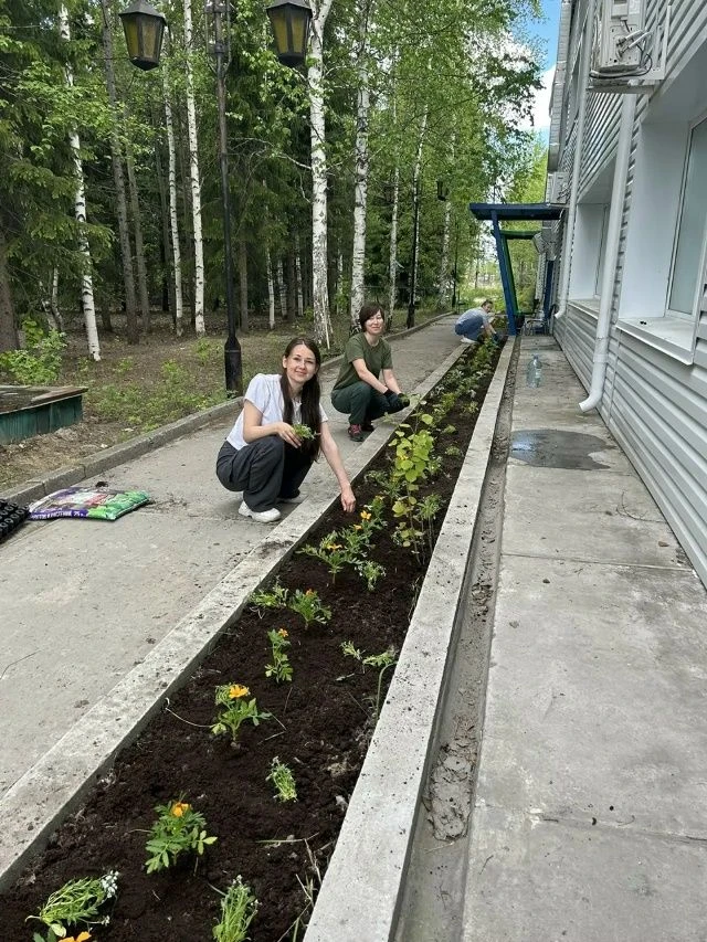 Сотрудники филиала ЦЛАТИ по УФО по ЯНАО приняли в участие в озеленении территории