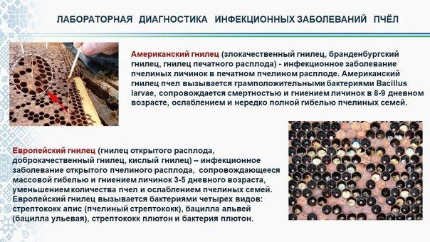 Клиническая картина