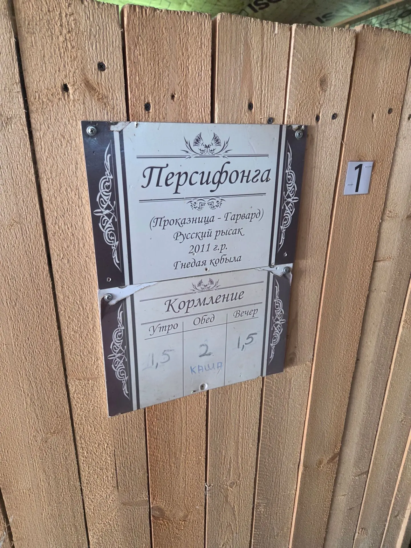 Персифонга, она же Персик.