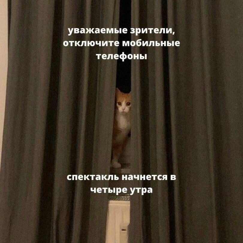 Приколы