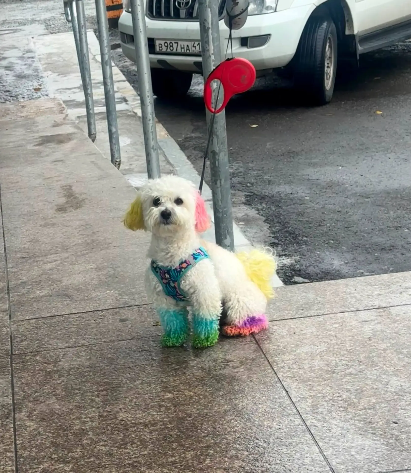Кусочек лета замечен у шамсы 🥰