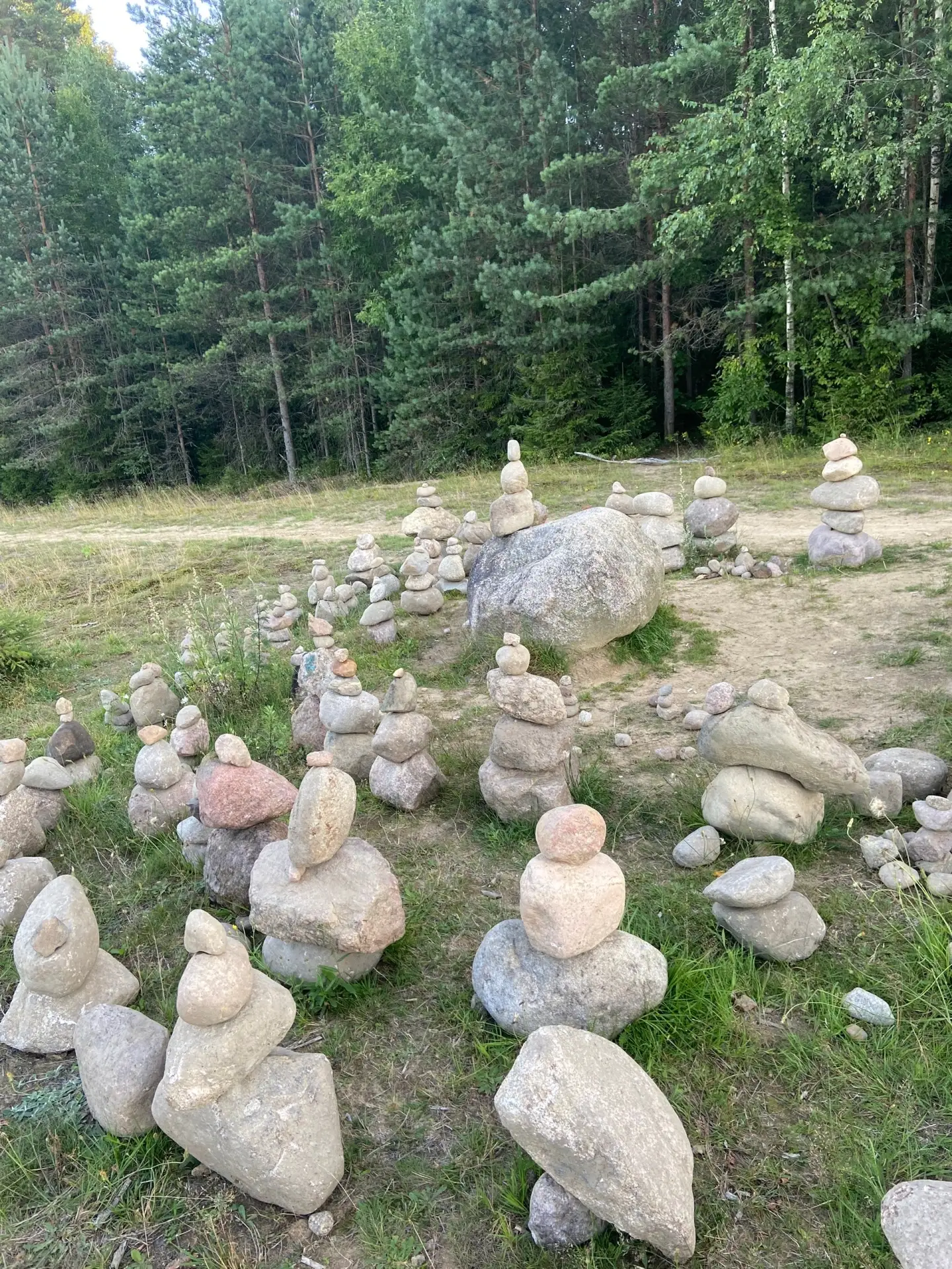 Доброе утро , Сертолово !!! Вчера гуляя недалеко от колхозного поля увидели такое творчество . Видел