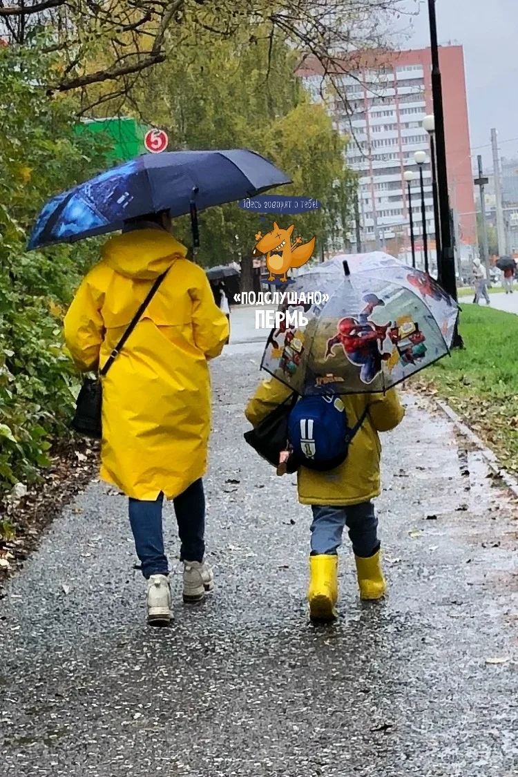 Родню сразу видно.)