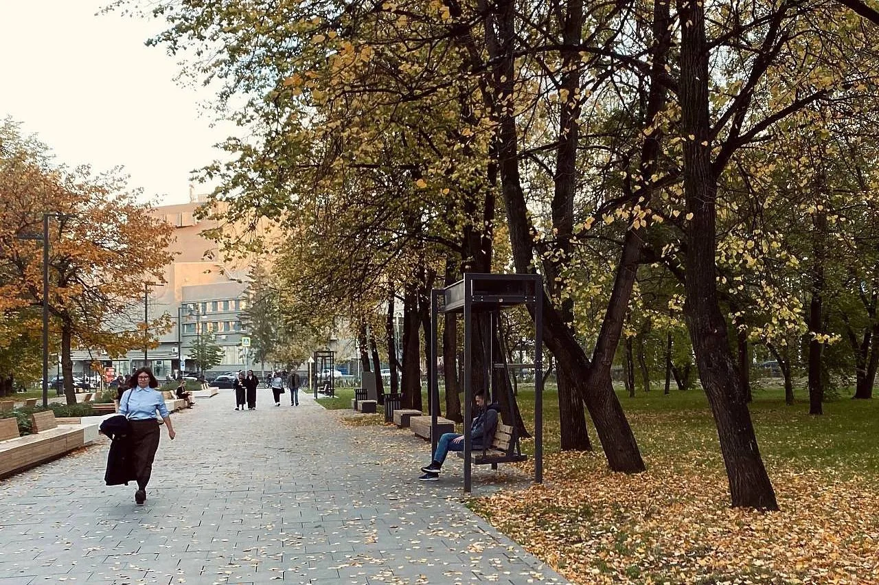 🌳 На Мира появились аллея физиков и аллея инженеров