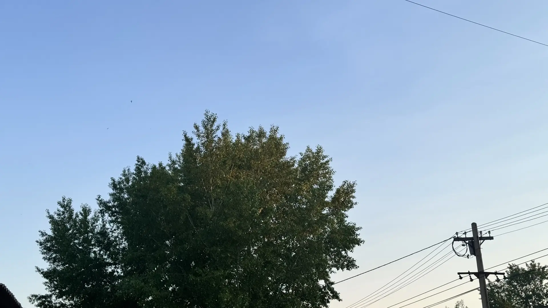 Погода в Вихоревке 9 июня