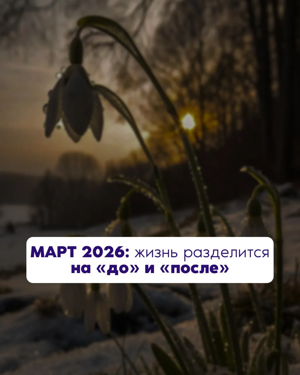 Март 2026: жизнь разделится на «до» и «после»