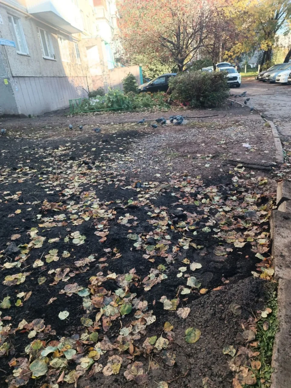 🚧 Жители Уфы жалуются на грязь вместо тротуара после ремонтных работ