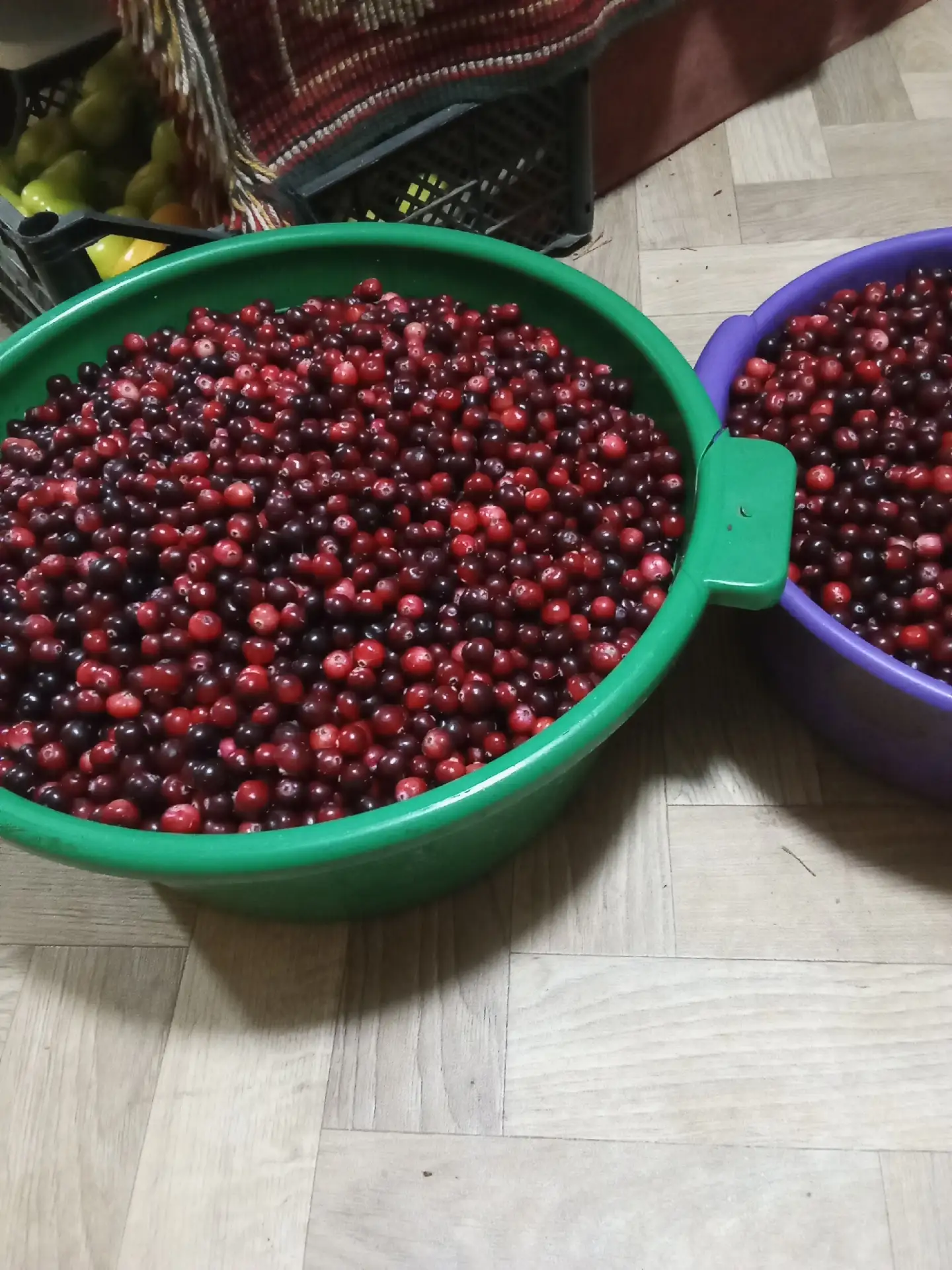 Продам клюкву 250 р за 1 л 89607143370анон
