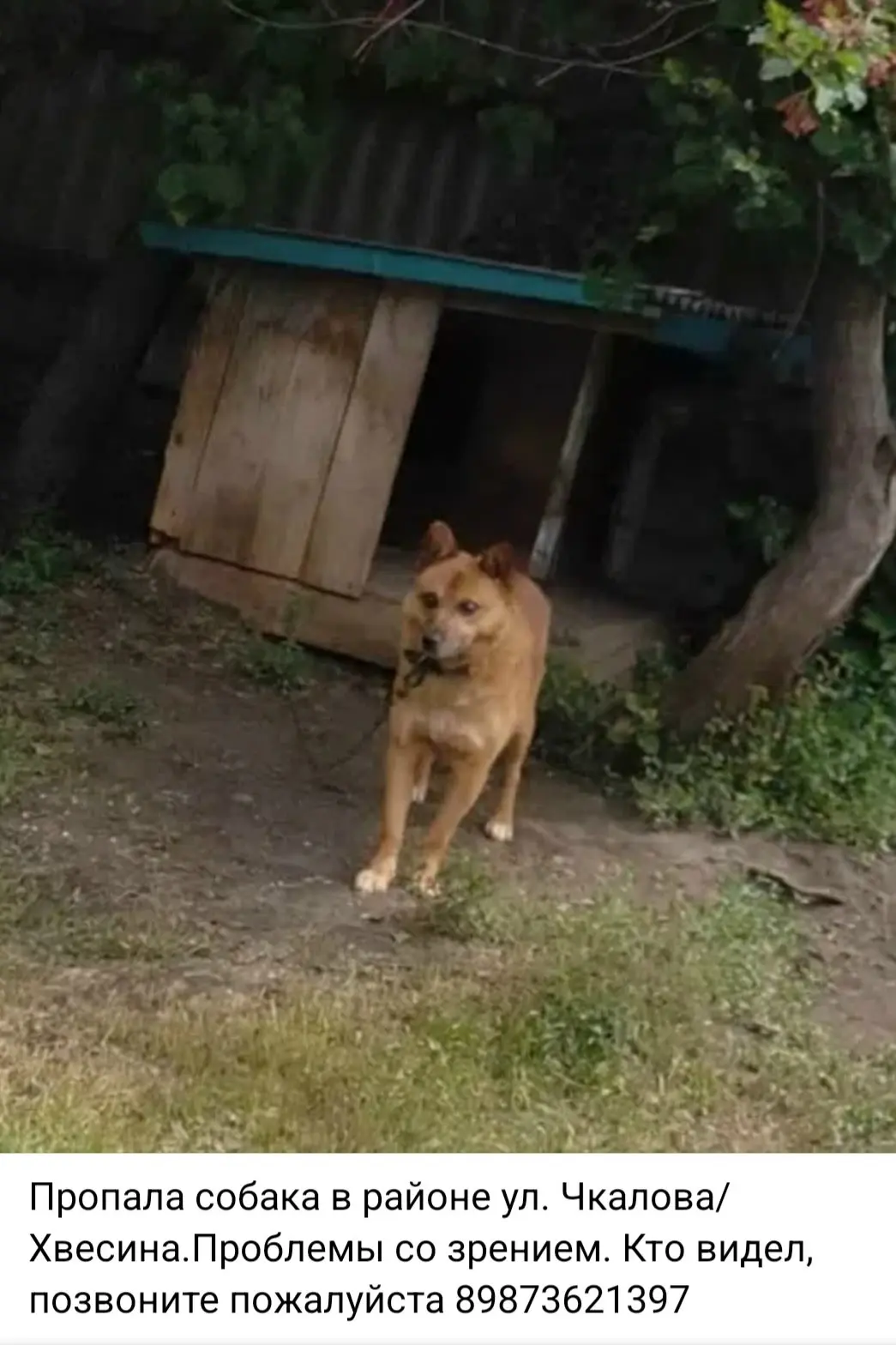 Фото