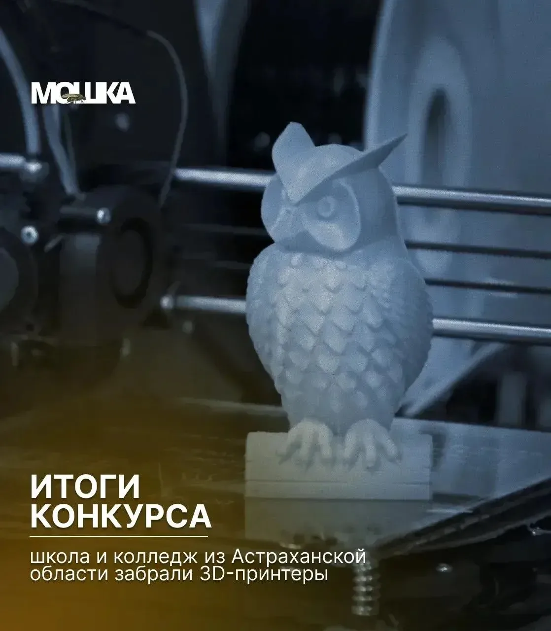 Школа и колледж в Астраханской области получат 3D-принтеры за рекордную вовлечённость