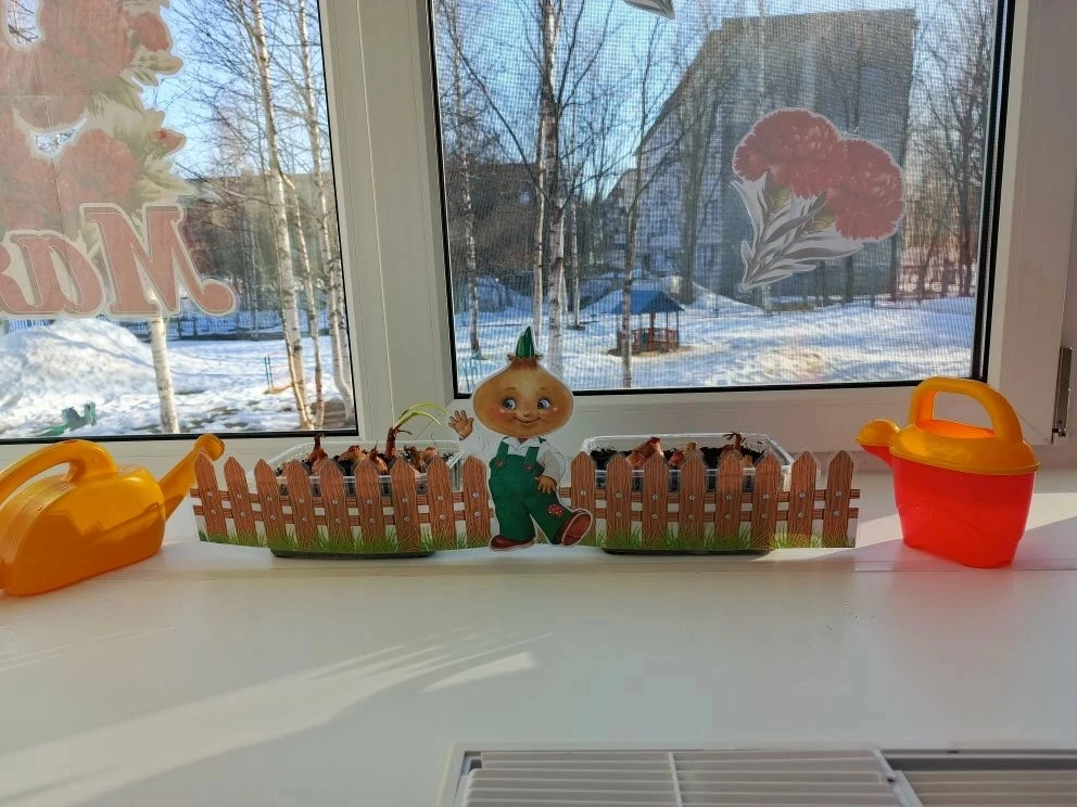 Зеленый друг на нашем окошке! 🧅🌱