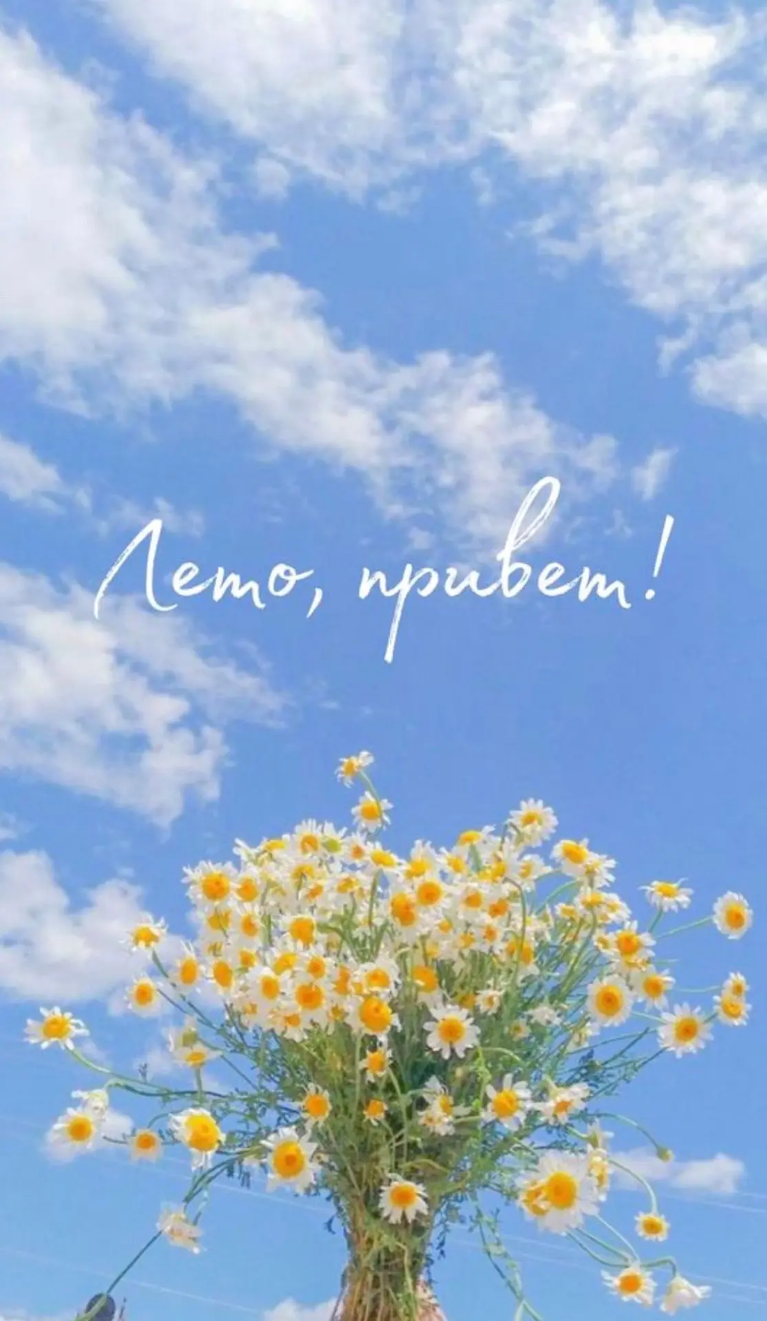 Лето официально вступило в свои права!