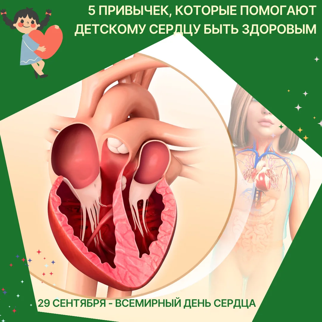 Сегодня мы отмечаем Всемирный день сердца. В педиатрической практике сердечно-сосудисты...