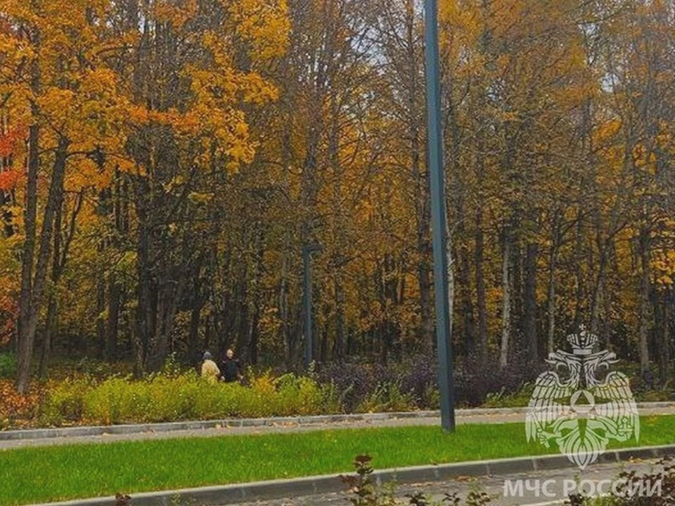 🌥 Днём в Смоленской области станет теплее