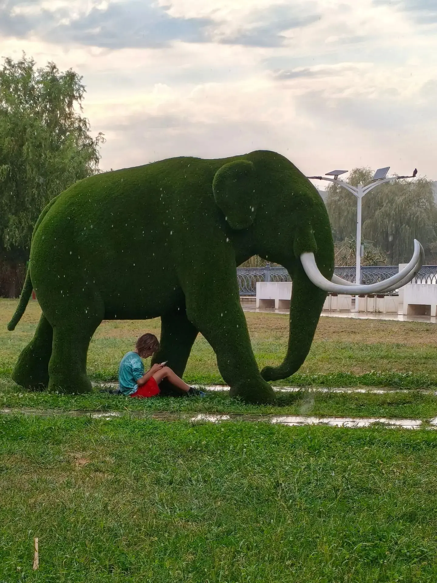 Под слонами дожди не слоняются 😂☔️🐘