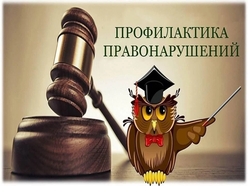 Профилактика правонарушений