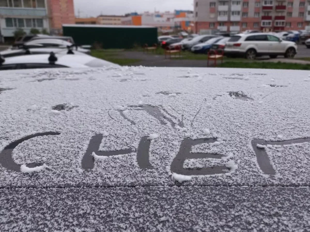 Похолодание до - 4°C и мокрый снег прогнозируют в Ульяновской области на выходных❄️