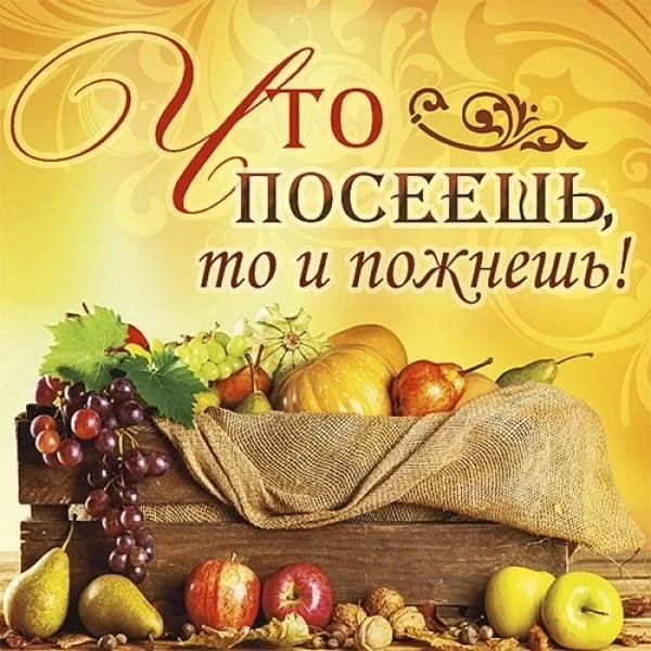 В сегодняшнем  апостольском  чтении (Послание Галатам, глава 6) мы с вами читаем:
