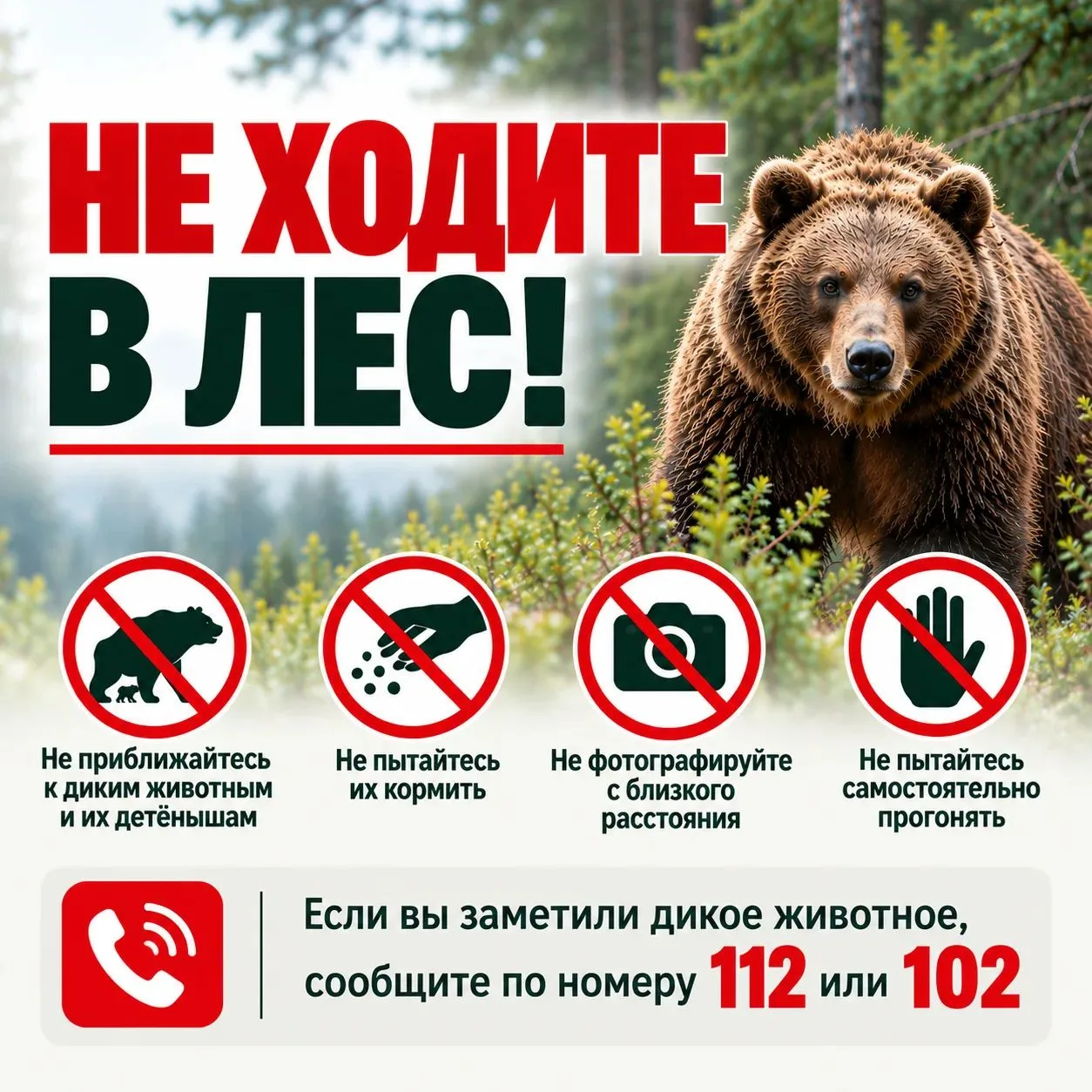 ⚠️ В связи с выходами диких животных просим временно воздержаться от посещения лесов!