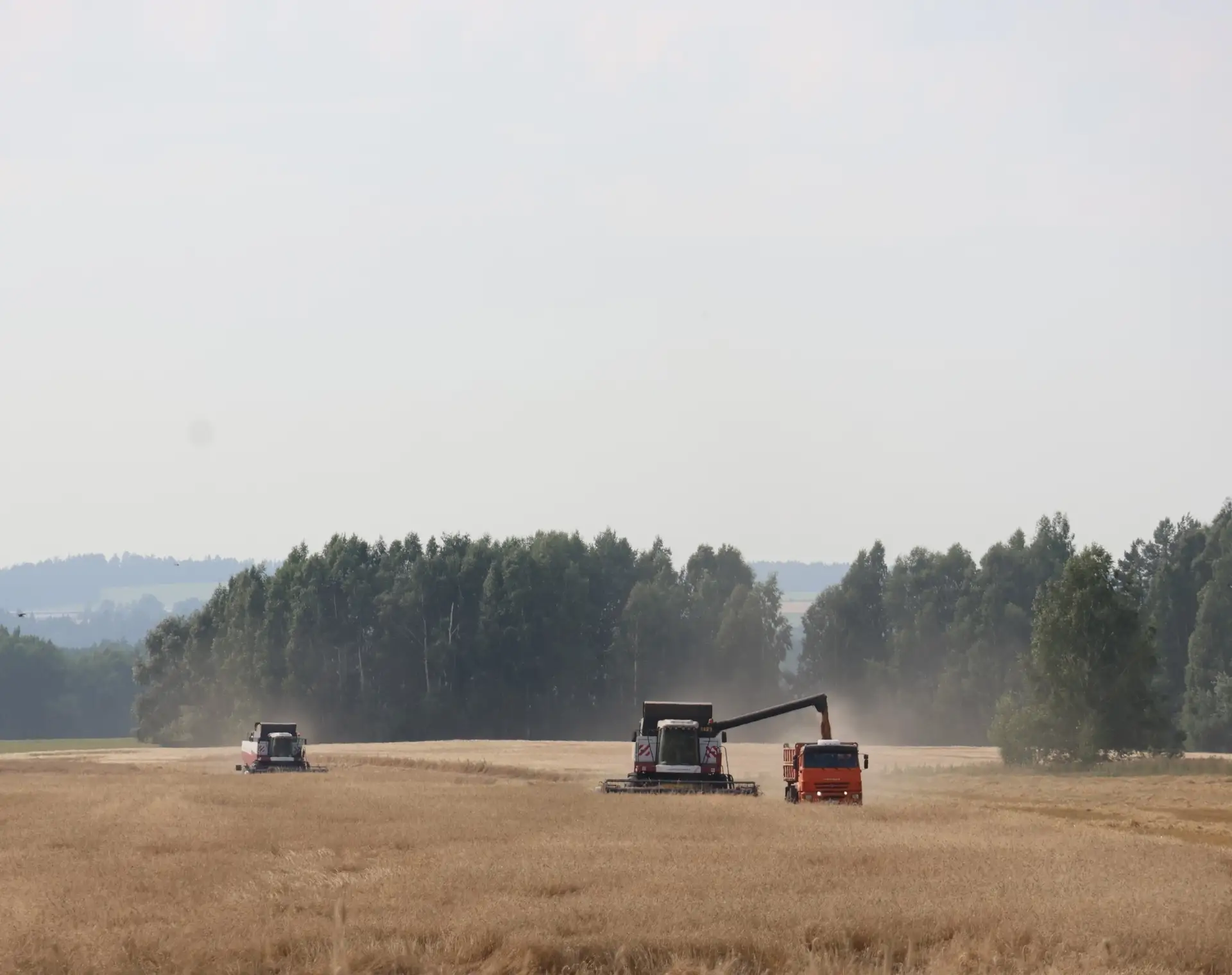🌾 В Вавожском районе стартовала уборочная кампания! 🚜