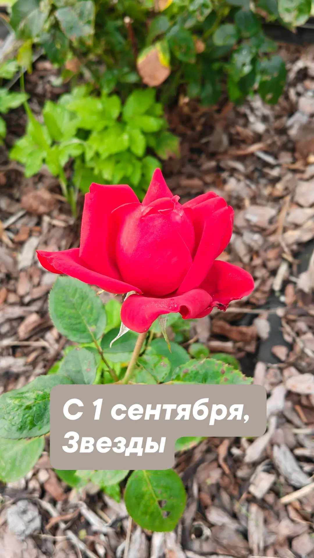 Фото