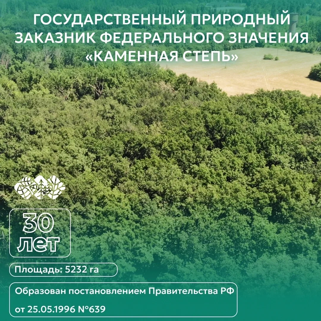 В этом году Государственный природный заказник федерального значения «Каменная Степь» отметил своё 3