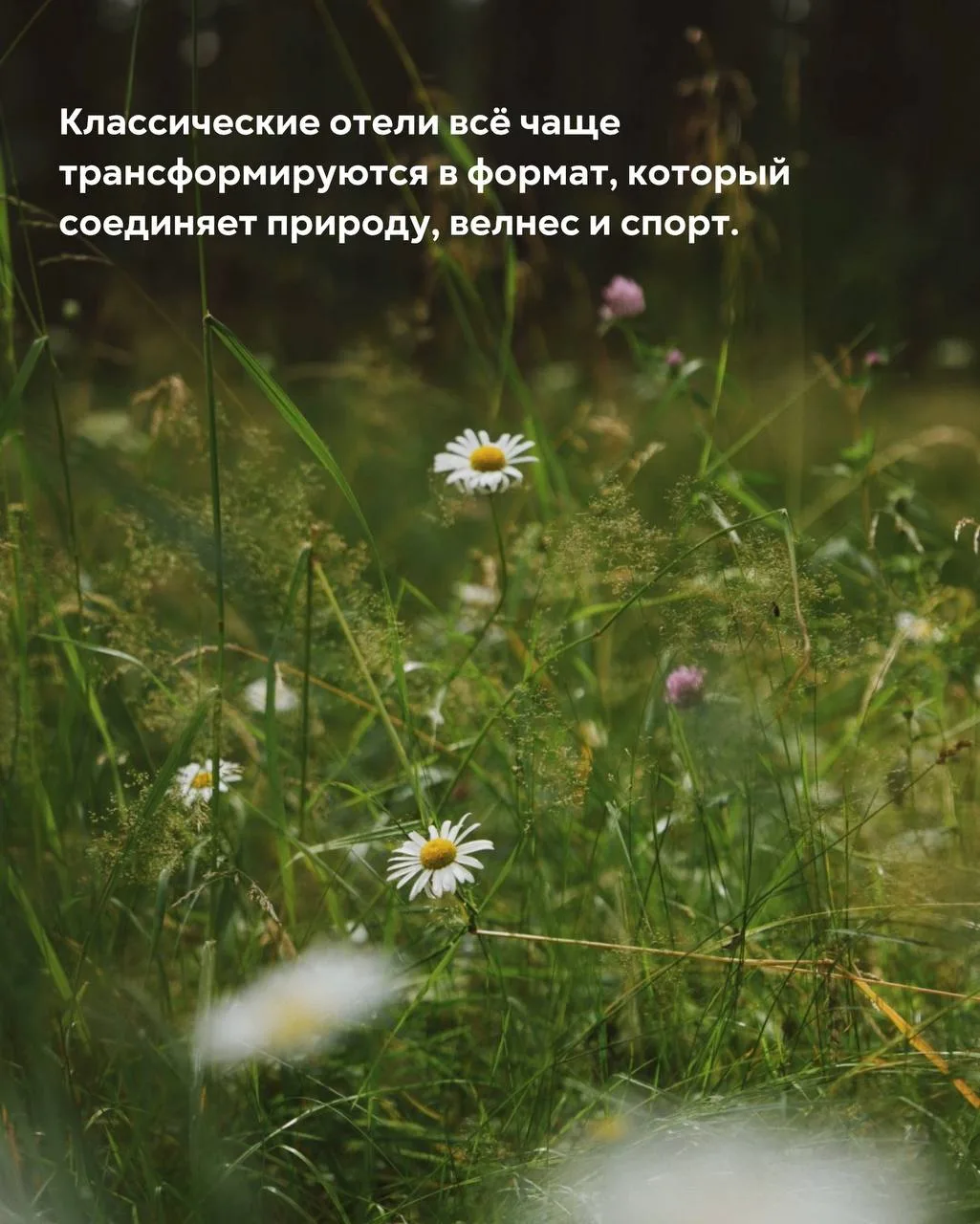 ⚡Новый тренд в гостиничном бизнесе: от отеля — к экосистеме для восстановления.