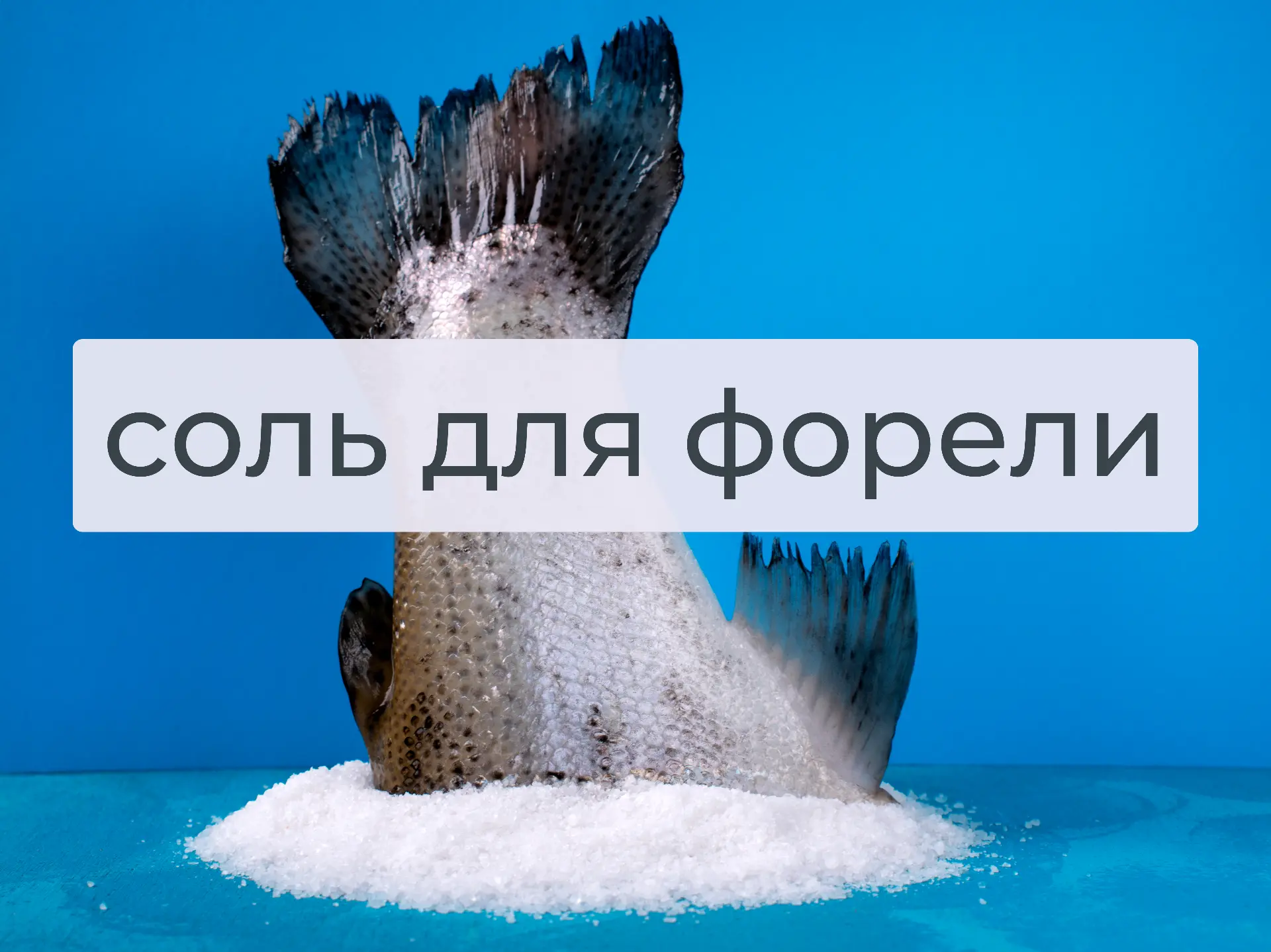 Какую взять соль для засолки любимой рыбки?