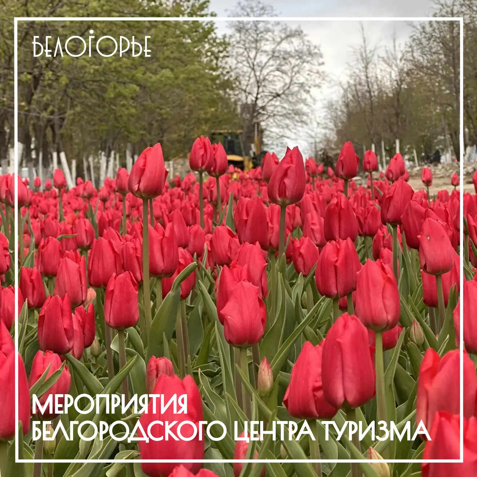 Друзья, встречайте майские праздники вместе с Белгородским центром туризма!